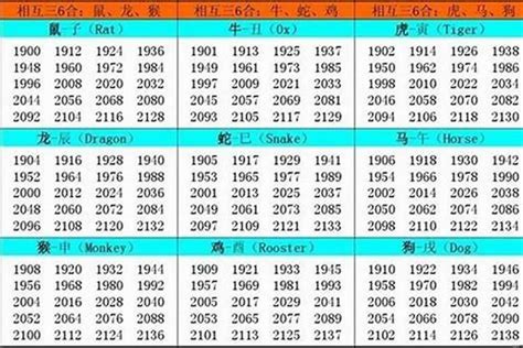 水狗命|1982年出生属什么生肖 1982年属狗是什么命